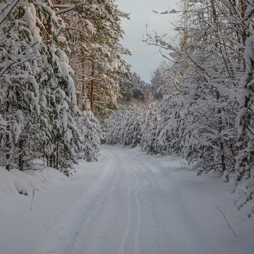 Photo #9964214