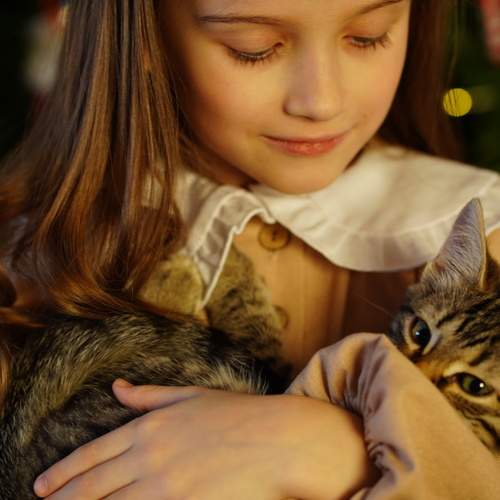 Photo #9964263