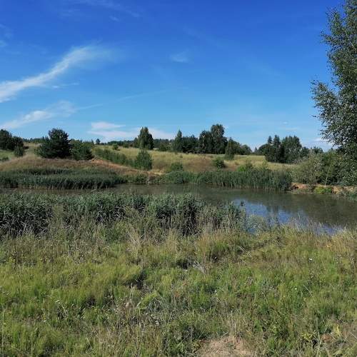 Photo #9964379
