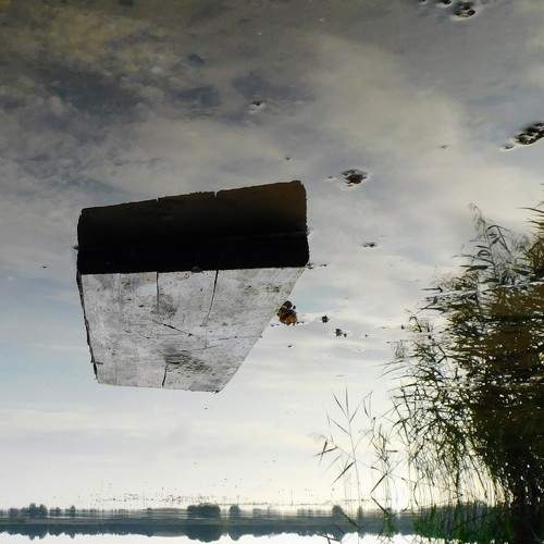 Photo #9965066