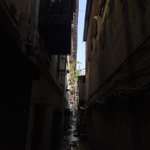 Photo #9965091