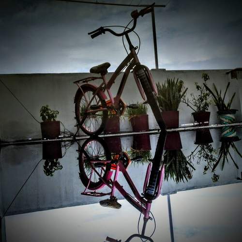 Photo #9965344
