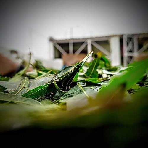 Photo #9965373