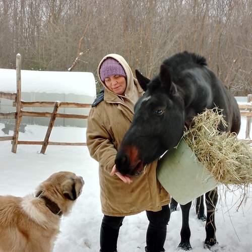 Photo #9965800