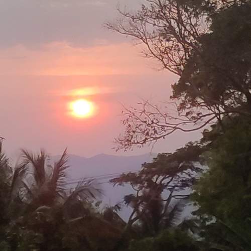 Photo #9965997
