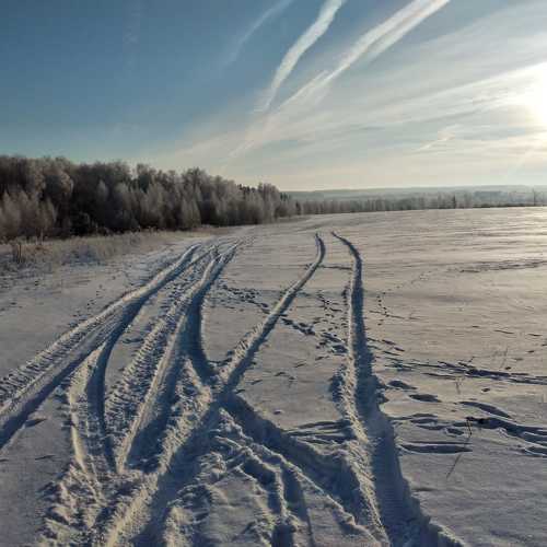 Photo #9966249