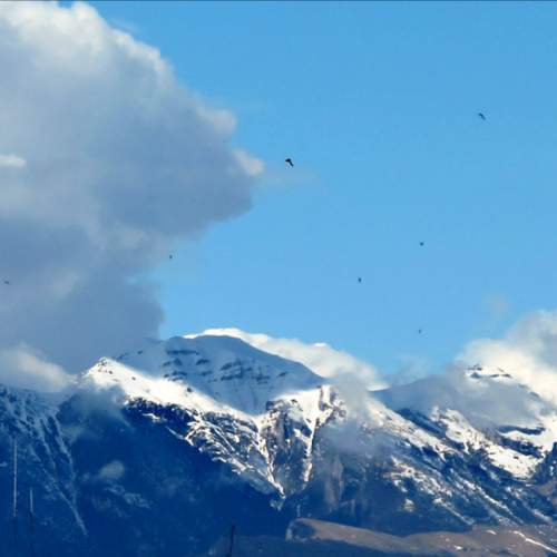 Photo #9966693