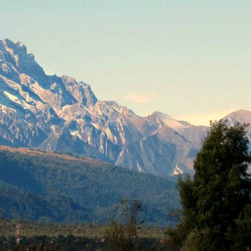 Photo #9966694