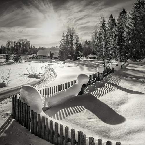 Photo #9966832