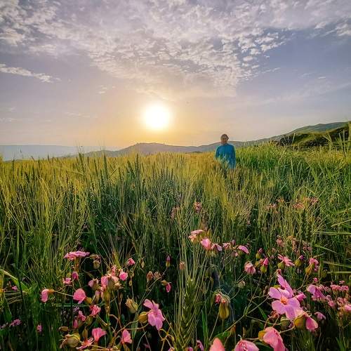 Photo #9967039
