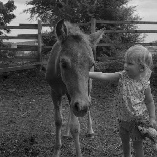 Photo #9967133