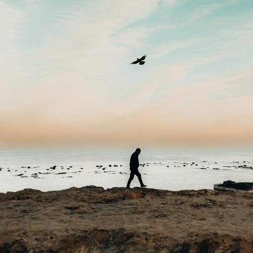 Photo #9967361