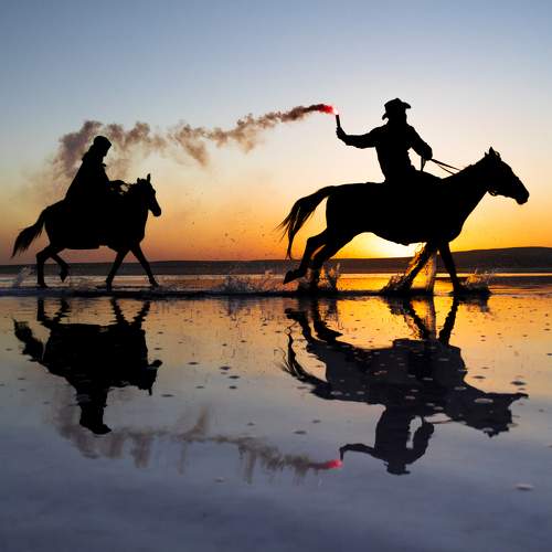 Photo #9967586
