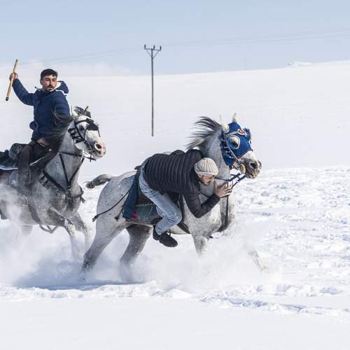 Photo #9967595