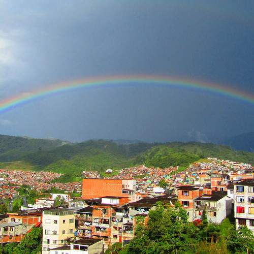 Photo #9967838
