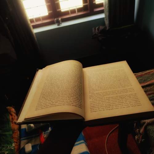 Photo #9968387