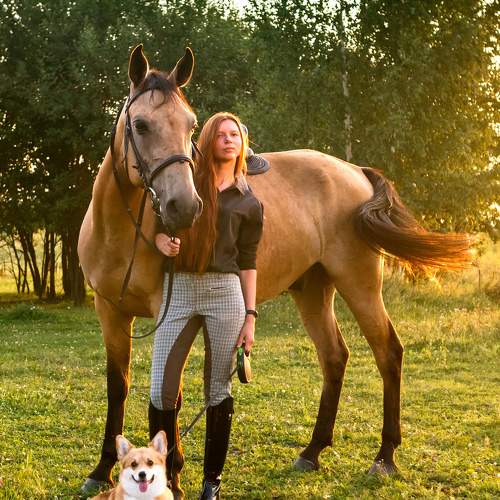 Photo #9968438