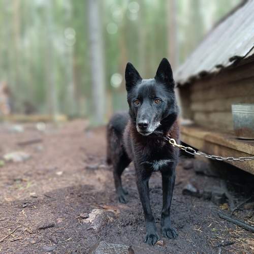 Photo #9968693