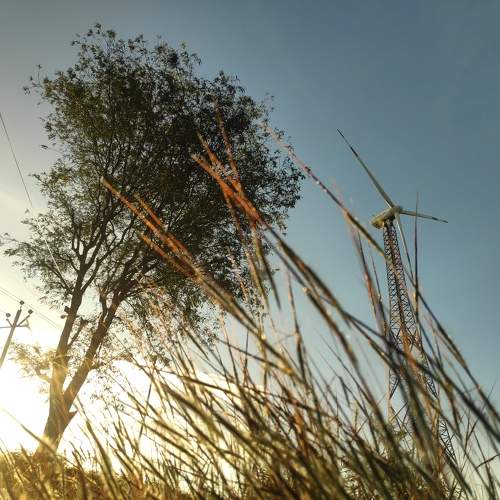 Be the sunshine