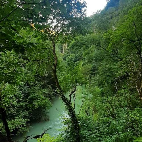 Фотография #9969185