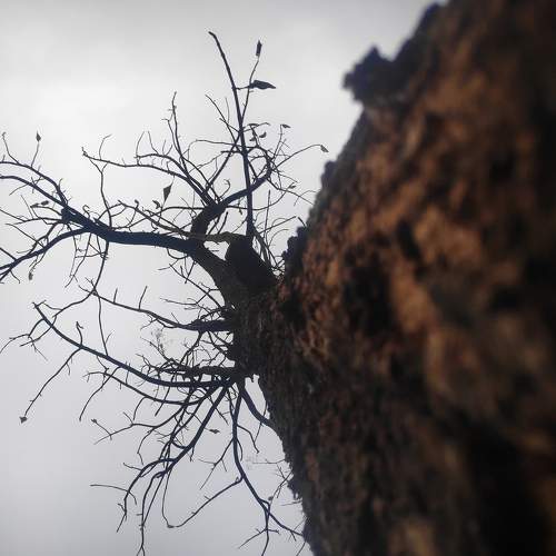 Photo #9969518