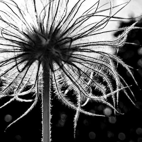 Photo #9969672