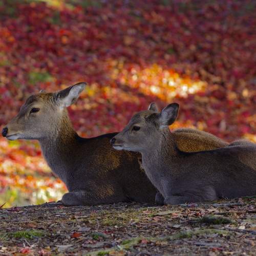 Photo #9969726