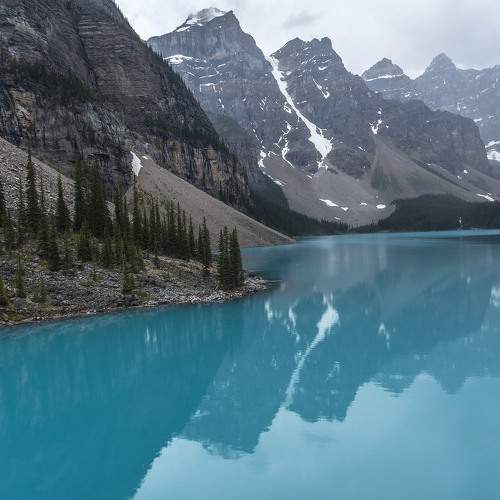Photo #9969801