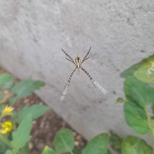 Photo #9970127