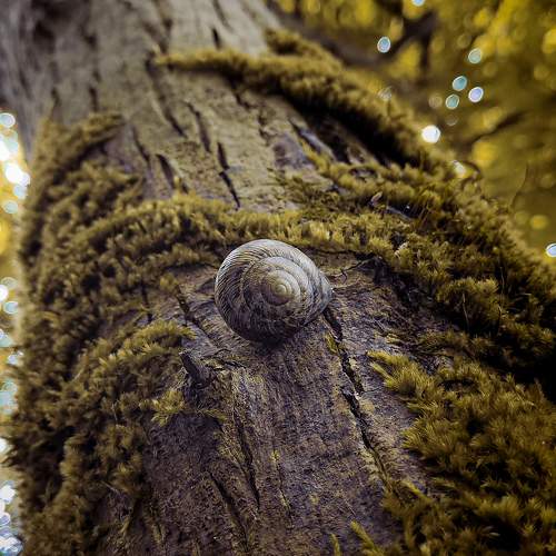 Photo #9970256