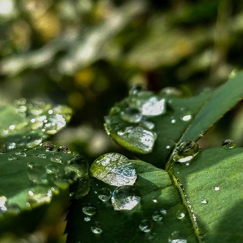 Photo #9970459
