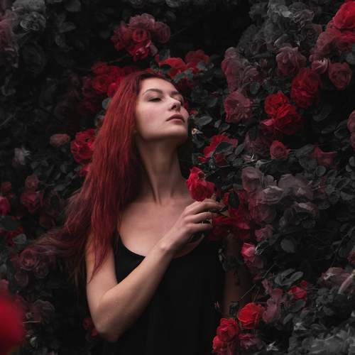 Photo #9970507