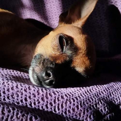 Photo #9970577