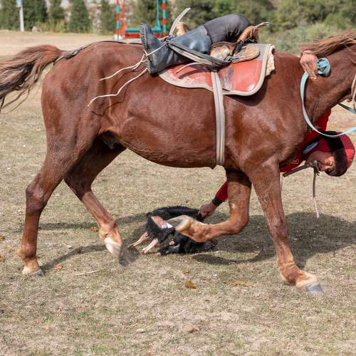 Photo #9970729
