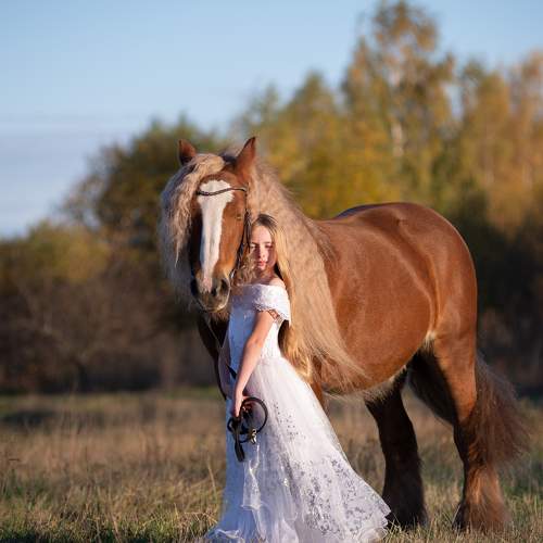 Photo #9970765