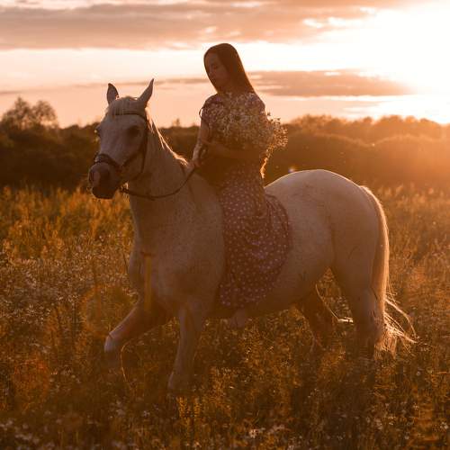 Photo #9970766