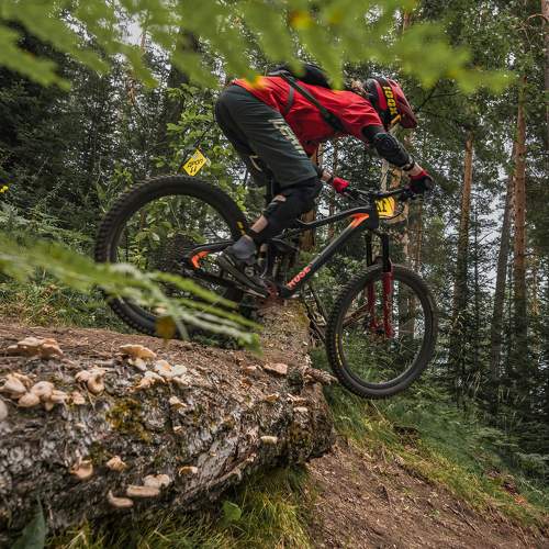 Photo #9970780