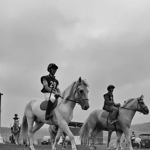 Photo #9970917