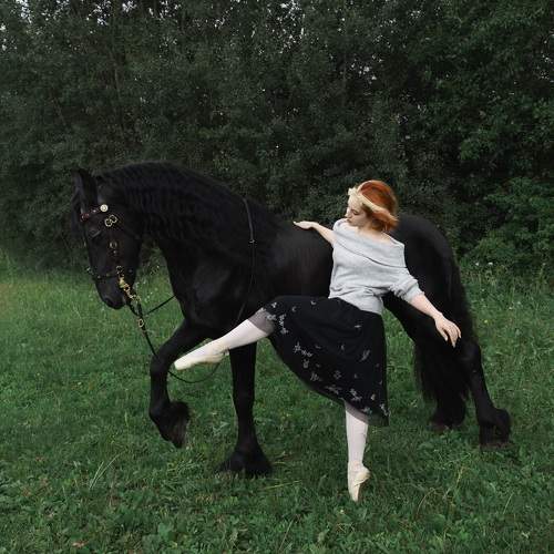 Photo #9971067
