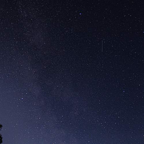 Photo #9971417