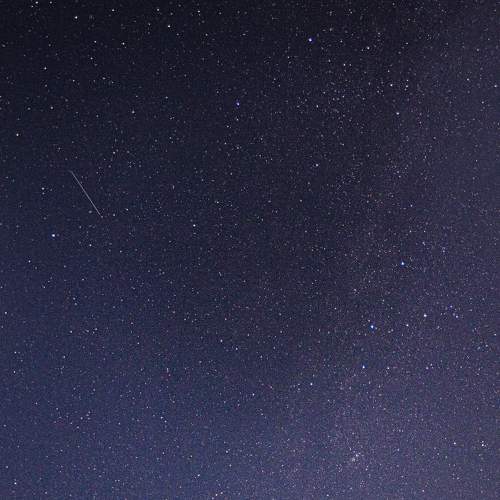 Photo #9971418