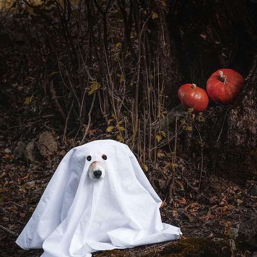 Photo #9971425