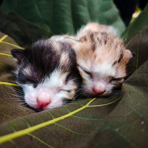 Photo #9971555