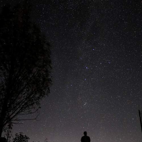 Photo #9971612