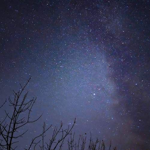 Photo #9971688