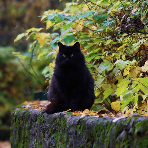 Photo #9972152