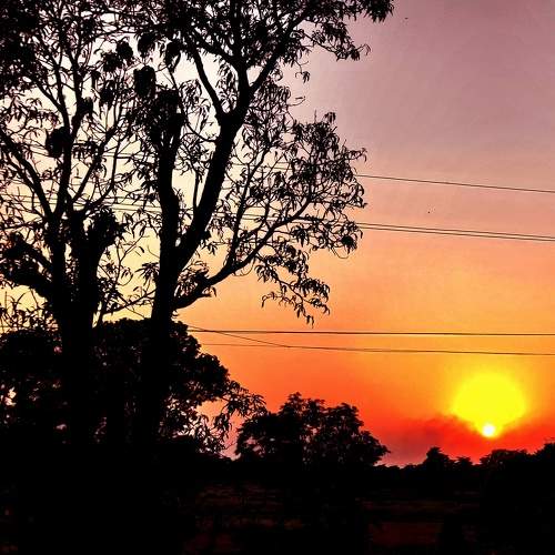 Photo #9972398