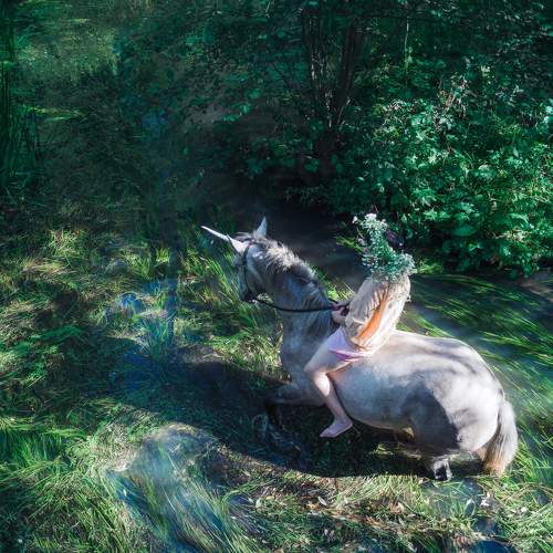 Photo #9972572