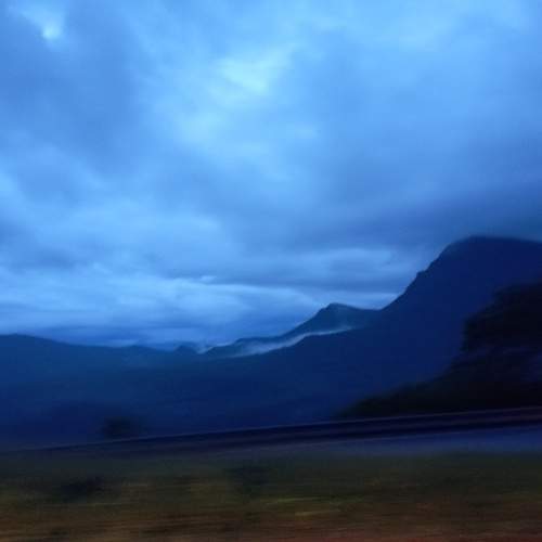 Photo #9972575