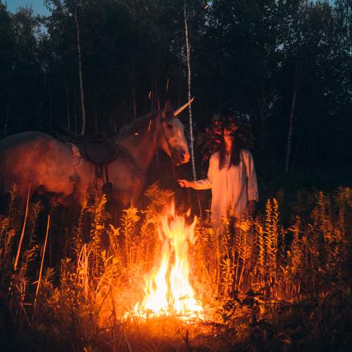 Photo #9972578